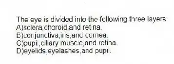 The eye is divided into the following three layers:
A)sclera,choroid,and retina.
B)conjunctiva,iris,and cornea.
C)pupil,ciliary muscle,and retina.
D)eyelids,eyelashes,and pupil.