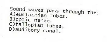 Sound waves pass through the:
A)eustachian tubes.
B)optic nerve.
C)fallopian tubes.
D)auditory canal.