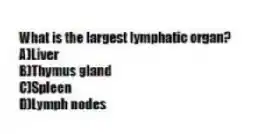 What is the largest lymphatic organ?
A)Liver
B)Thymus gland
C)Spleen
D)Lymph nodes