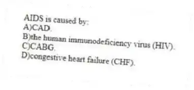 AIDS is caused by:
A)CAD.
B)the human immunodeficiency virus (HIV).
C)CABG.
D)congestive heart failure (CHF).