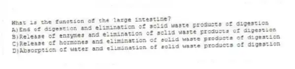 What is the function of the large intestine?
A)End of digestion and elimination of solid waste products of digestion
B)Release of enzymes and elimination of solid waste products of digestion
C)Release of hormones and elimination of solid waste products of digestion
D)Absorption of water and elimination of solid waste products of digestion