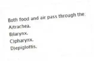 Both food and air pass through the:
A)trachea.
B)larynx.
C)pharynx.
D)epiglottis.