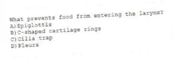 What prevents food from entering the larynx?
A)Epiglottis
B)C-shaped cartilage rings
C)Cilia trap
D)Pleura