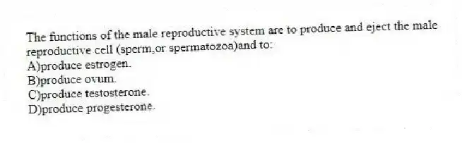 The functions of the male reproductive system are to produce and eject the male reproductive cell (sperm,or spermatozoa)and to:
A)produce estrogen.
B)produce ovum.
C)produce testosterone.
D)produce progesterone.