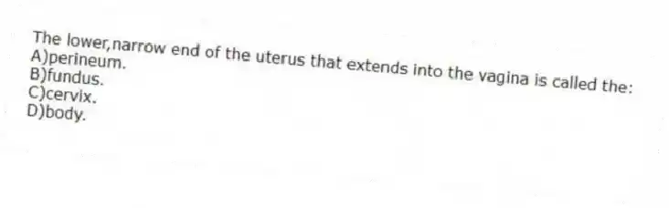 The lower,narrow end of the uterus that extends into the vagina is called the:
A)perineum.
B)fundus.
C)cervix.
D)body.