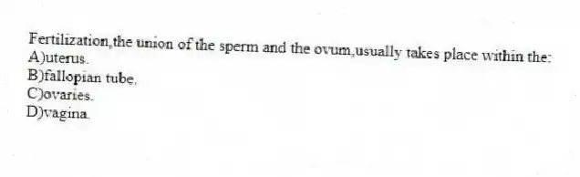 Fertilization,the union of the sperm and the ovum,usually takes place within the:
A)uterus.
B)fallopian tube.
C)ovaries.
D)vagina.