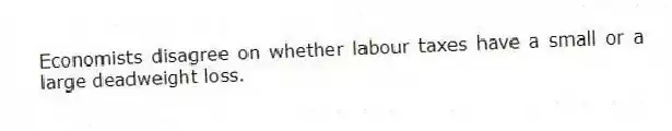Economists disagree on whether labour taxes have a small or a large deadweight loss.