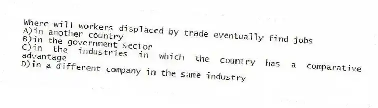 Where will workers displaced by trade eventually find jobs
A)in another country
B)in the government sector
C)in the industries in which the country has a comparative advantage
D)in a different company in the same industry