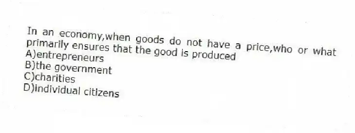In an economy,when goods do not have a price,who or what primarily ensures that the good is produced
A)entrepreneurs
B)the government
C)charities
D)individual citizens