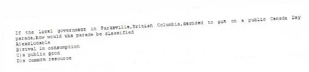 If the local government in Parksville,British Columbia,decided to put on a public Canada Day parade,how would the parade be classified
A)excludable
B)rival in consumption
C)a public good
D)a common resource