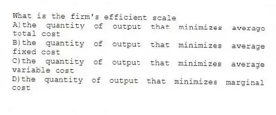 What is the firm's efficient scale
A)the quantity of output that minimizes average total cost
B)the quantity of output that minimizes average fixed cost
C)the quantity of output that minimizes average variable cost
D)the quantity of output that minimizes marginal cost