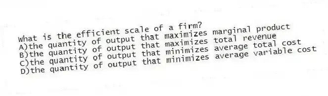What is the efficient scale of a firm?
A)the quantity of output that maximizes marginal product
B)the quantity of output that maximizes total revenue
C)the quantity of output that minimizes average total cost
D)the quantity of output that minimizes average variable cost