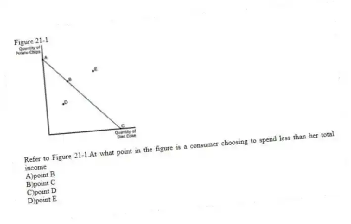 Figure 21-1
-Refer to Figure 21-1.At what point in the figure is a consumer choosing to spend less than her total income
A)point B
B)point C
C)point D
D)point E