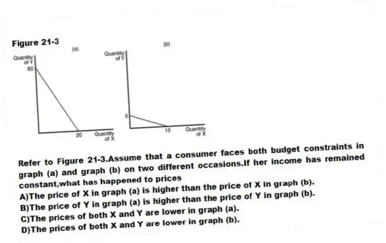 Figure 21-3
-Refer to Figure 21-3.Assume that a consumer faces both budget constraints in graph (a) and graph (b) on two different occasions.If her income has remained constant,what has happened to prices
A)The price of X in graph (a) is higher than the price of X in graph (b).
B)The price of Y in graph (a) is higher than the price of Y in graph (b).
C)The prices of both X and Y are lower in graph (a).
D)The prices of both X and Y are lower in graph (b).