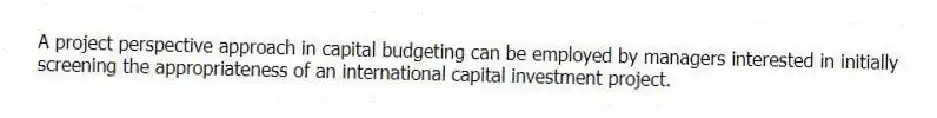 A project perspective approach in capital budgeting can be employed by managers interested in initially screening the appropriateness of an international capital investment project.