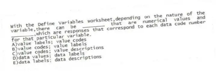 With the Define Variables worksheet,depending on the nature of the variable,there can be ________ that are numerical values and ________,which are responses that correspond to each data code number for that particular variable.
A)value labels; value codes
B)value codes; value labels
C)value codes; value descriptions
D)data values; data labels
E)data labels; data descriptions