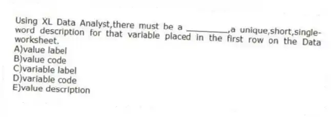 Using XL Data Analyst,there must be a ________,a unique,short,single-word description for that variable placed in the first row on the Data worksheet.
A)value label
B)value code
C)variable label
D)variable code
E)value description