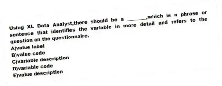 Using XL Data Analyst,there should be a ________,which is a phrase or sentence that identifies the variable in more detail and refers to the question on the questionnaire.
A)value label
B)value code
C)variable description
D)variable code
E)value description