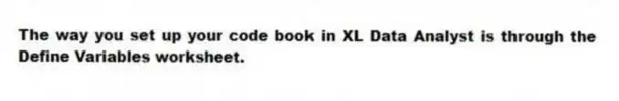 The way you set up your code book in XL Data Analyst is through the Define Variables worksheet.