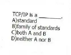 TCP/IP is a ________.
A)standard
B)family of standards
C)both A and B
D)neither A nor B