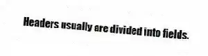 Headers usually are divided into fields.