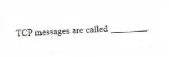 TCP messages are called ________.