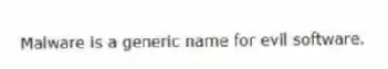 Malware is a generic name for evil software.
