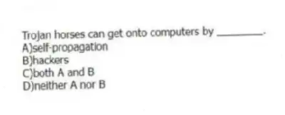 Trojan horses can get onto computers by ________.
A)self-propagation
B)hackers
C)both A and B
D)neither A nor B