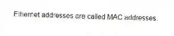 Ethernet addresses are called MAC addresses.