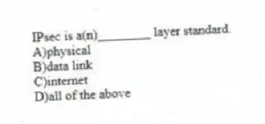 IPsec is a(n)________ layer standard.
A)physical
B)data link
C)internet
D)all of the above