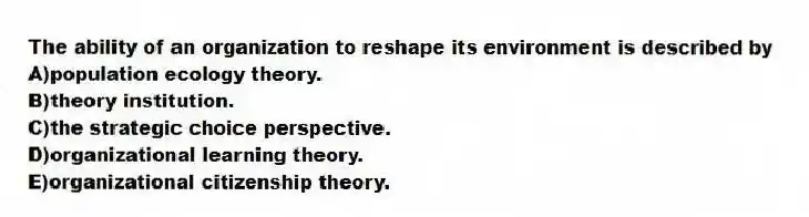The ability of an organization to reshape its environment is described by
A)population ecology theory.
B)theory institution.
C)the strategic choice perspective.
D)organizational learning theory.
E)organizational citizenship theory.
