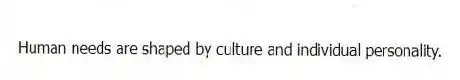 Human needs are shaped by culture and individual personality.