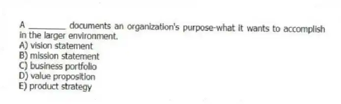 A ________ documents an organization's purpose-what it wants to accomplish in the larger environment.
A) vision statement
B) mission statement
C) business portfolio
D) value proposition
E) product strategy
