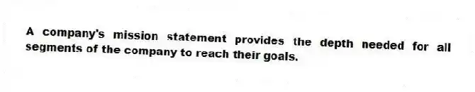 A company's mission statement provides the depth needed for all segments of the company to reach their goals.