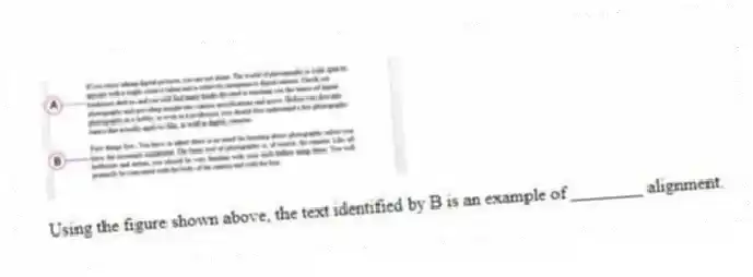  
Using the figure shown above, the text identified by B is an example of ________ alignment.