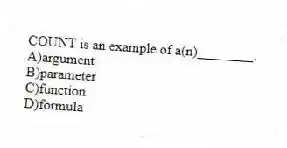 COUNT is an example of a(n)________.
A)argument
B)parameter
C)function
D)formula