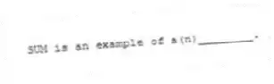 SUM is an example of a(n)________.