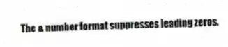 The & number format suppresses leading zeros.