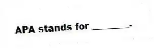 APA stands for ________.