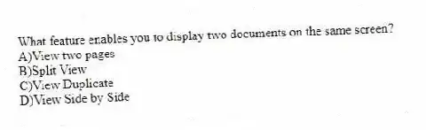 What feature enables you to display two documents on the same screen?
A)View two pages
B)Split View
C)View Duplicate
D)View Side by Side
