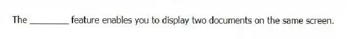 The ________ feature enables you to display two documents on the same screen.