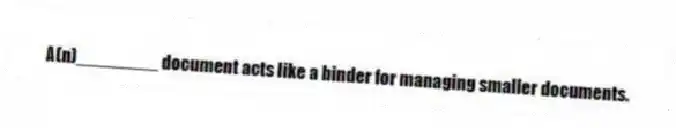 A(n)________ document acts like a binder for managing smaller documents.