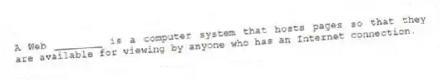 A Web ________ is a computer system that hosts pages so that they are available for viewing by anyone who has an Internet connection.