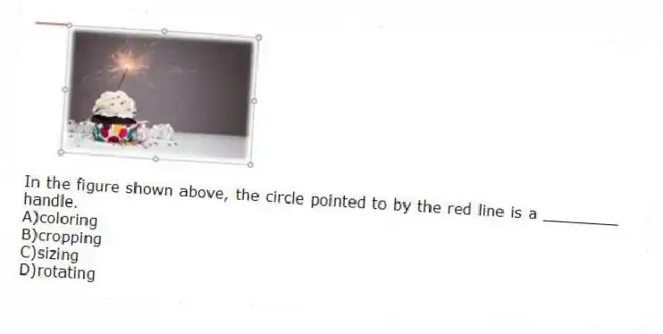 In the figure shown above, the circle pointed to by the red line is a ________ handle.
A)coloring
B)cropping
C)sizing
D)rotating