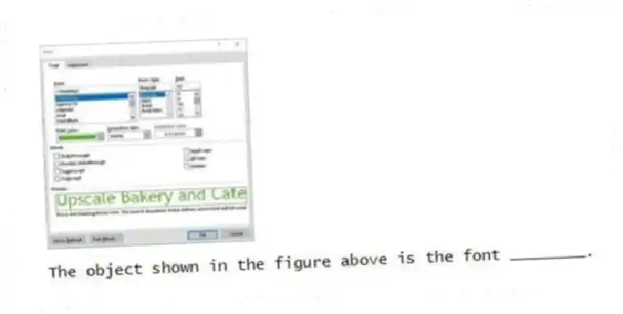 The object shown in the figure above is the font ________.