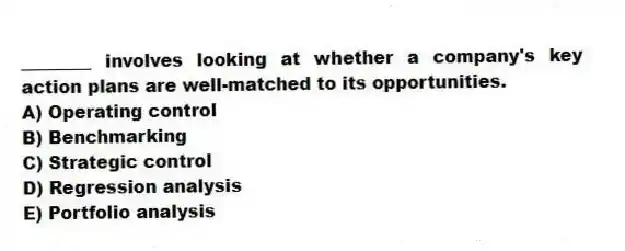 ________ involves looking at whether a company's key action plans are well-matched to its opportunities.
A) Operating control
B) Benchmarking
C) Strategic control
D) Regression analysis
E) Portfolio analysis