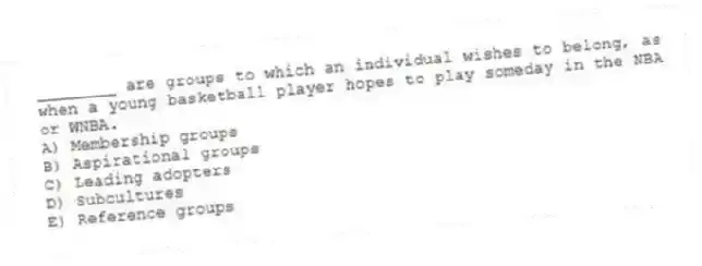 ________ are groups to which an individual wishes to belong, as when a young basketball player hopes to play someday in the NBA or WNBA.
A) Membership groups
B) Aspirational groups
C) Leading adopters
D) Subcultures
E) Reference groups