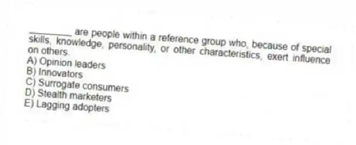 ________ are people within a reference group who, because of special skills, knowledge, personality, or other characteristics, exert influence on others.
A) Opinion leaders
B) Innovators
C) Surrogate consumers
D) Stealth marketers
E) Lagging adopters