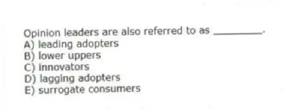 Opinion leaders are also referred to as ________.
A) leading adopters
B) lower uppers
C) innovators
D) lagging adopters
E) surrogate consumers