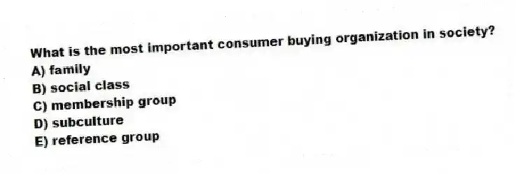 What is the most important consumer buying organization in society?
A) family
B) social class
C) membership group
D) subculture
E) reference group